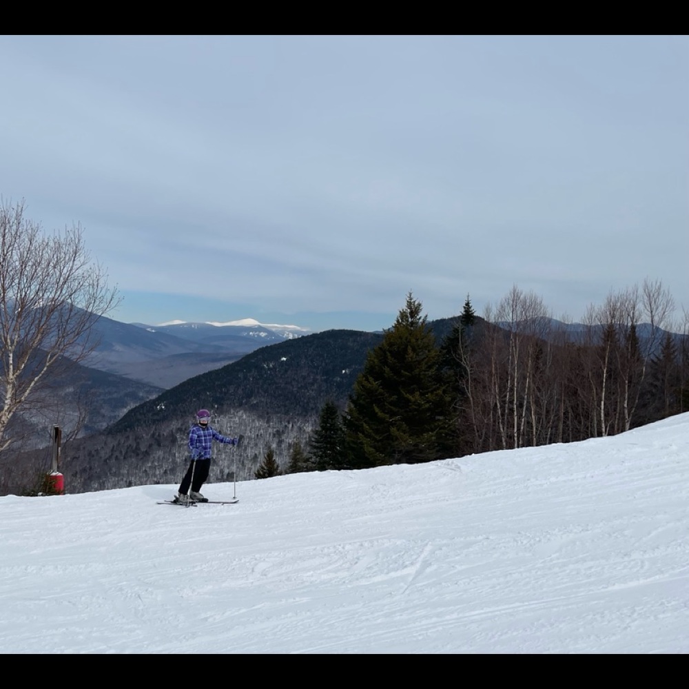Meet your Posher, Hazel
